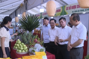 Phiên chợ giới thiệu nông sản thực phẩm an toàn năm 2026 tại Thanh Hoá