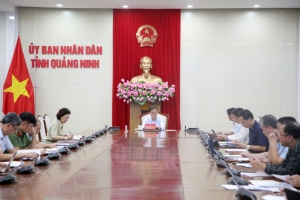 Quảng Ninh: Mở rộng phát triển kinh tế đêm trên toàn tỉnh