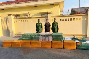 Đồn Biên phòng Pò Hèn phát hiện 480kg tràng lợn đông lạnh không rõ nguồn gốc