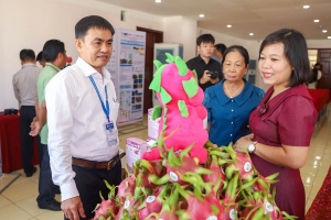 Để hợp tác xã trở thành trụ cột của nông nghiệp hiện đại