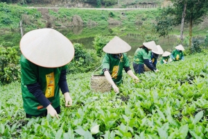 Thái Nguyên ban hành chính sách ưu đãi tiền thuê nhà đối với các đối tượng ưu tiên