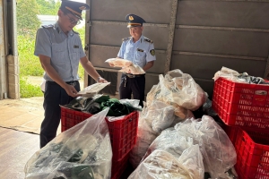 Lạng Sơn: Phát hiện, xử lý hơn 7.000 áo lót phụ nữ có dấu hiệu nhập lậu