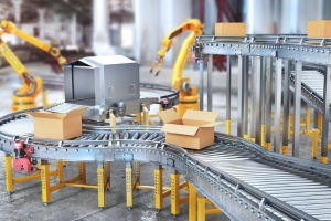 Bao bì xuất khẩu trước áp lực chi phí và tiêu chuẩn xanh