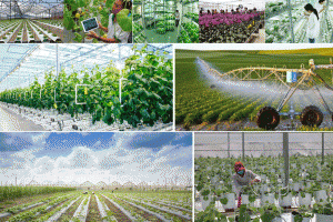 Công nghệ mở đường cho HTX tạo giá trị mới