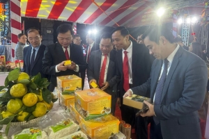 Hà Tĩnh tổ chức Hội chợ triển lãm sản phẩm công nghiệp nông thôn tiêu biểu khu vực miền Trung - Tây Nguyên năm 2026
