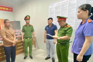 Tuyên Quang: Trốn thuế, giám đốc một doanh nghiệp bị khởi tố