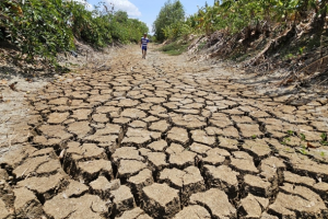 El Niño rất mạnh quay trở lại: Việt Nam đối mặt nguy cơ nắng nóng, hạn hán khốc liệt