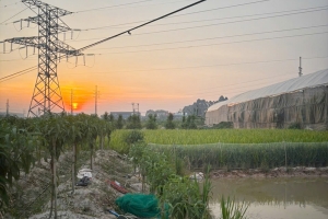 Bắc Ninh: Người đàn ông tử vong do cần câu vướng đường dây điện cao thế