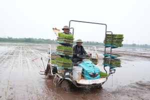 Hà Nội đẩy nhanh tiến độ sản xuất vụ mùa trước nguy cơ nắng nóng kéo dài