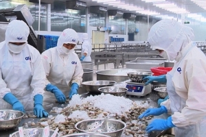 Điểm danh cổ phiếu đáng chú ý phiên 15/6: VHC, MSH và GEX