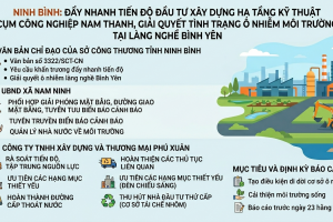 Ninh Bình: Đẩy nhanh xây dựng hạ tầng kỹ thuật Cụm công nghiệp Nam Thanh, giải quyết ô nhiễm tại làng nghề Bình Yên