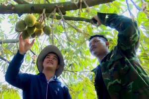 Hoàn thiện mã số vùng trồng, Lâm Đồng hướng tới nền nông nghiệp hiện đại và hội nhập