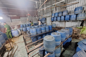 Hưng Yên: Khởi tố đối tượng sử dụng hóa chất cấm sản xuất gần 800kg giá đỗ