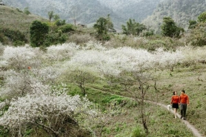 Nghệ An đối thoại doanh nghiệp, tìm giải pháp tạo đột phá cho ngành du lịch