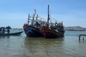Quảng Trị: Vi phạm trong khai thác thủy sản, chủ tàu cá bị phạt 160 triệu đồng