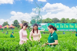 Đề xuất chuyển đăng ký hợp tác xã về cấp xã, rút ngắn thời gian giải quyết hồ sơ