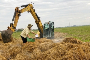 Bắc Ninh hướng đến nền nông nghiệp xanh, bảo vệ môi trường