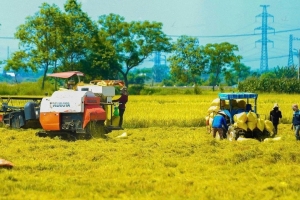 Cải cách thủ tục hành chính tạo dư địa phát triển cho doanh nghiệp nông nghiệp và môi trường