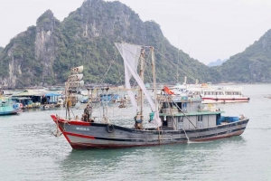 Quảng Ninh phân cấp quản lý tàu cá dưới 12m cho cấp xã