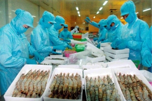 Cước vận tải biển leo thang, xuất khẩu thủy sản đối mặt thách thức mới
