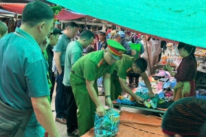 Tuyên Quang: Phát hiện và xử lý hàng hóa vi phạm tại chợ Phố Bảng