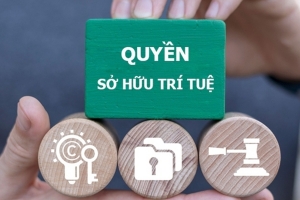 Bộ Chính trị yêu cầu nghiên cứu hình thành cơ chế tài phán chuyên sâu về sở hữu trí tuệ