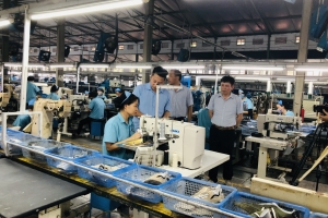 Bảo vệ thương hiệu: Từ “lá chắn” của doanh nghiệp đến nhiệm vụ của cả hệ sinh thái
