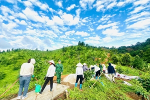 Gieo màu xanh trên vùng biên xứ Lạng