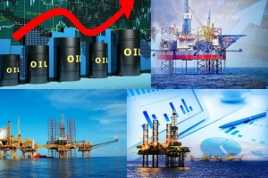 Cổ phiếu tâm điểm ngày 22/6: BSR, VNM, DCM và PHR