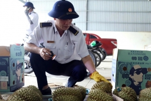 Lạng Sơn: Hoạt động xuất nhập khẩu ổn định, xe tồn tiếp tục giảm
