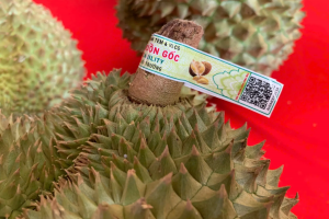 Sẵn sàng vận hành hệ thống truy xuất nguồn gốc nông lâm thủy sản từ đầu tháng 7