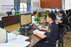 Hải quan khu vực VII: Thu ngân sách 6 tháng tăng 47,75% so với cùng kỳ