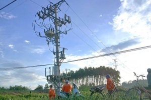 Tập trung toàn lực hoàn thành tiến độ 8 dự án lưới điện 110kV trọng điểm tại Phú Thọ