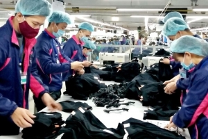 Tổng Liên đoàn Lao động Việt Nam đề xuất tăng lương tối thiểu vùng năm 2027 lên đến 9,8%