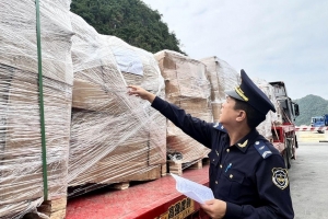 Yêu cầu thực hiện đúng quy định về hồ sơ hải quan đối với lâm sản xuất khẩu