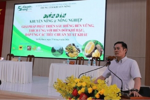 Lâm Đồng kết nối giải pháp phát triển sầu riêng bền vững, đáp ứng yêu cầu xuất khẩu