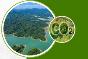 PV Power chuẩn bị giao dịch lô hàng hóa đầu tiên của thị trường carbon
