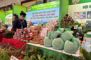 Đặc sản vùng miền tràn lan trên mạng xã hội: Hàng thật hay chỉ là “mác” để bán hàng?