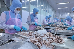 Siết chặt kiểm soát xuất xứ, giữ vững lợi thế của hàng Việt tại thị trường EU