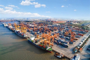 Cảng Đình Vũ chuẩn bị họp ĐHĐCĐ bất thường