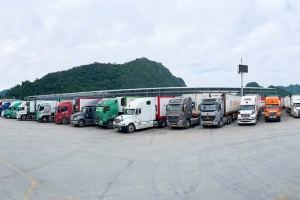 Lạng Sơn: Hoạt động xuất nhập khẩu tiếp tục duy trì ổn định