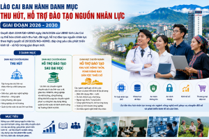 Lào Cai ban hành danh mục thu hút, hỗ trợ đào tạo nguồn nhân lực chất lượng cao giai đoạn 2026 - 2030