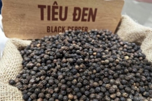 Giá tiêu hôm nay 29/6: Giữ vững vùng giá cao