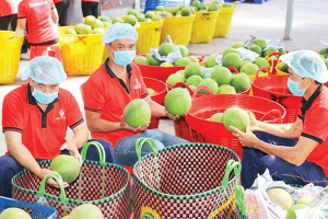 Xuất siêu nông sản duy trì đà tăng nhờ nâng cao giá trị và mở rộng thị trường