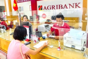 Bắc Ninh triển khai Kế hoạch thực hiện Chiến lược tài chính toàn diện quốc gia giai đoạn 2026 - 2030