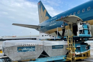 Công ty Dịch vụ Hàng hóa Nội Bài chi 80% cổ tức bằng tiền cho cổ đông