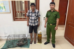 Ninh Bình: Khởi tố đối tượng tàng trữ trái phép bộ phận động vật hoang dã quý hiếm
