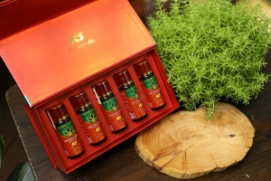 Sâm Ngọc Linh Kon Tum cùng nhiều doanh nghiệp bị công khai nợ thuế
