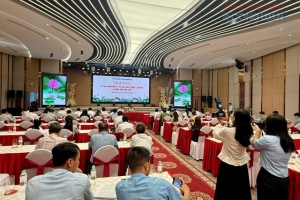 Nghệ An thông tin nhiều kết quả nổi bật về phát triển kinh tế - xã hội trong 6 tháng đầu năm 2026