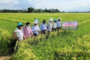 Các nguồn lực hỗ trợ doanh nghiệp, hợp tác xã thuộc Hệ sinh thái tận dụng các FTA